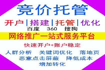 某电商平台的sem竞价推广托管经验